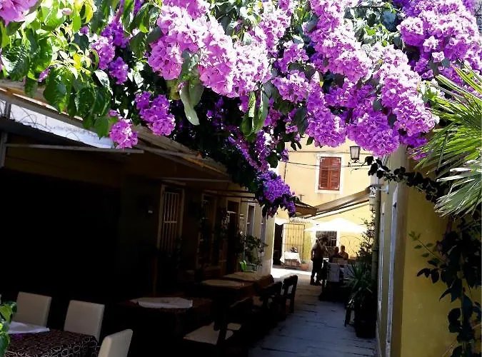 Apartament Apartment Ferienwohnung